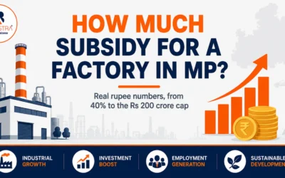 How Much Subsidy Will You Get for a Factory in MP? Real Numbers