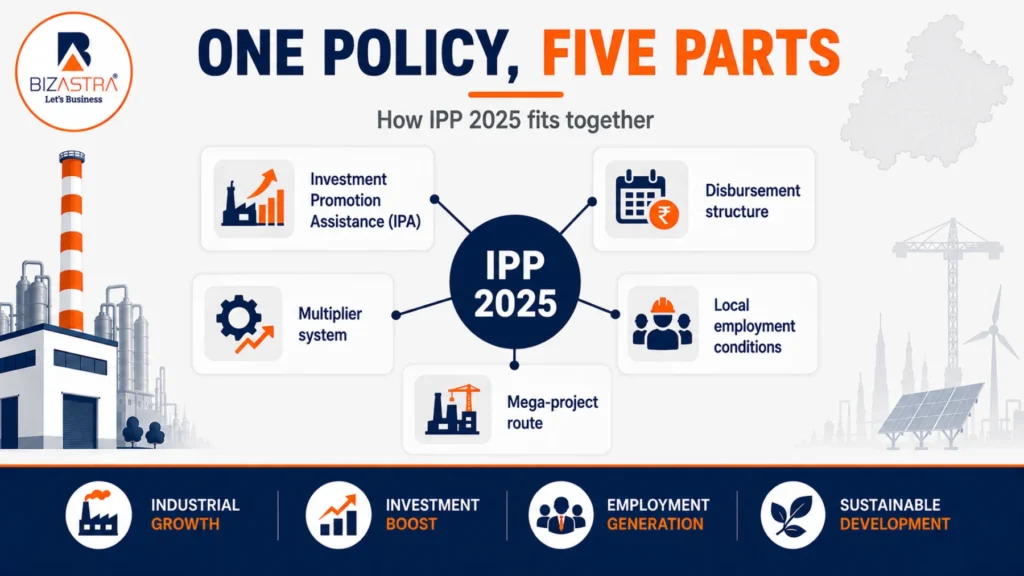 What the MP IPP 2025 policy covers: the five parts