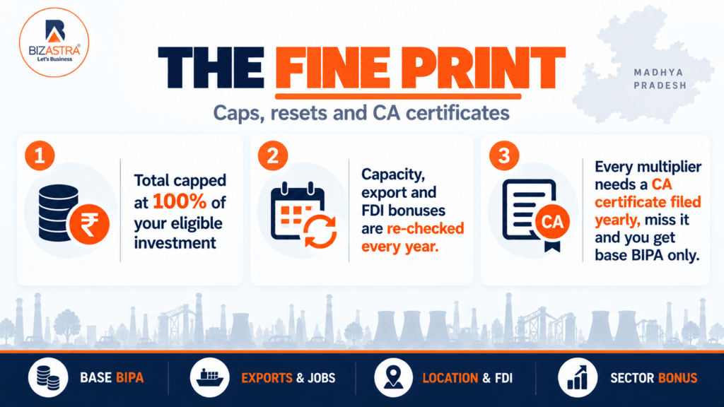 Fine print - MP IPP 2025