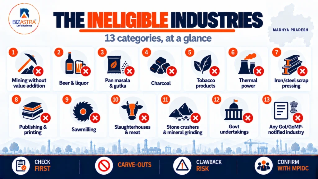 The 13 ineligible industry categories under MP IPP 2025