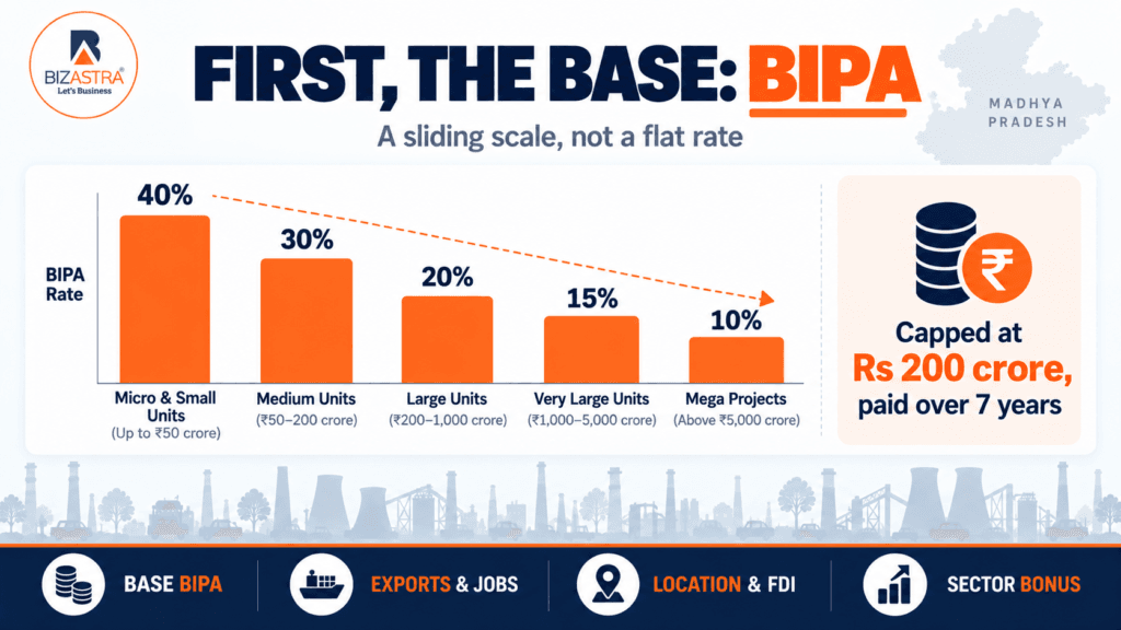 Base BIPA- MP IPP 2025
